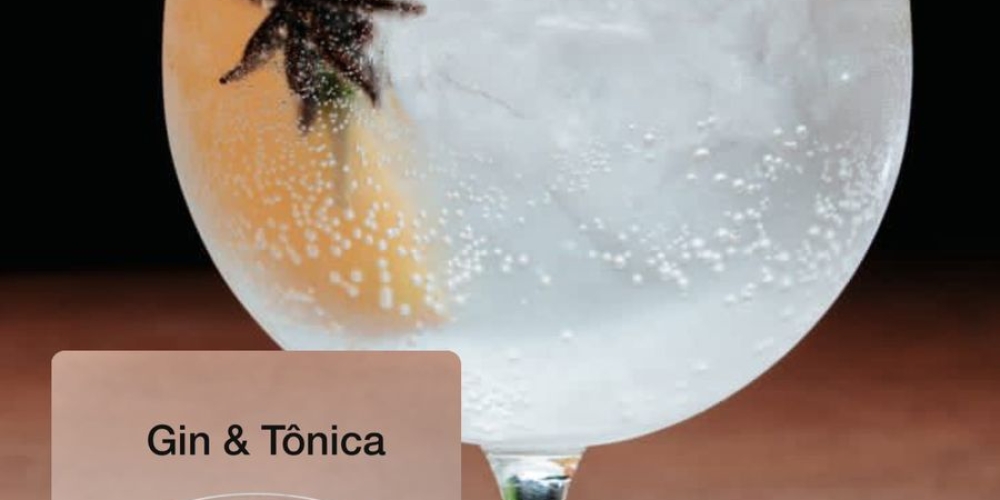 Gin & Tônica